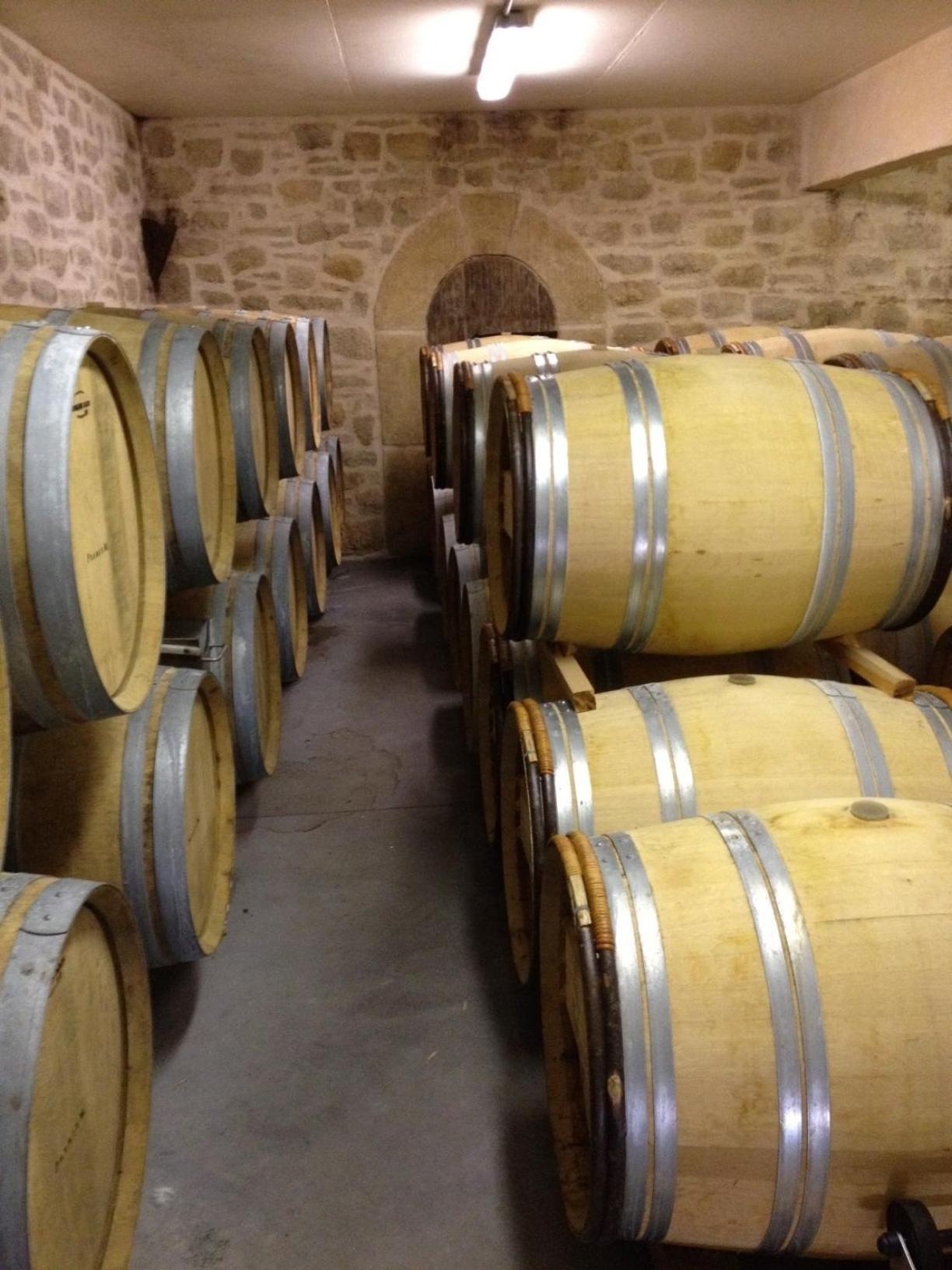 Chateau De Valloubiere Saint-Jean-de-Fos Bagian luar foto