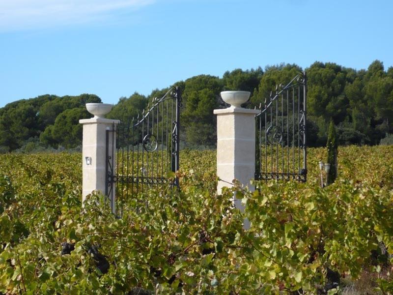 Chateau De Valloubiere Saint-Jean-de-Fos Bagian luar foto