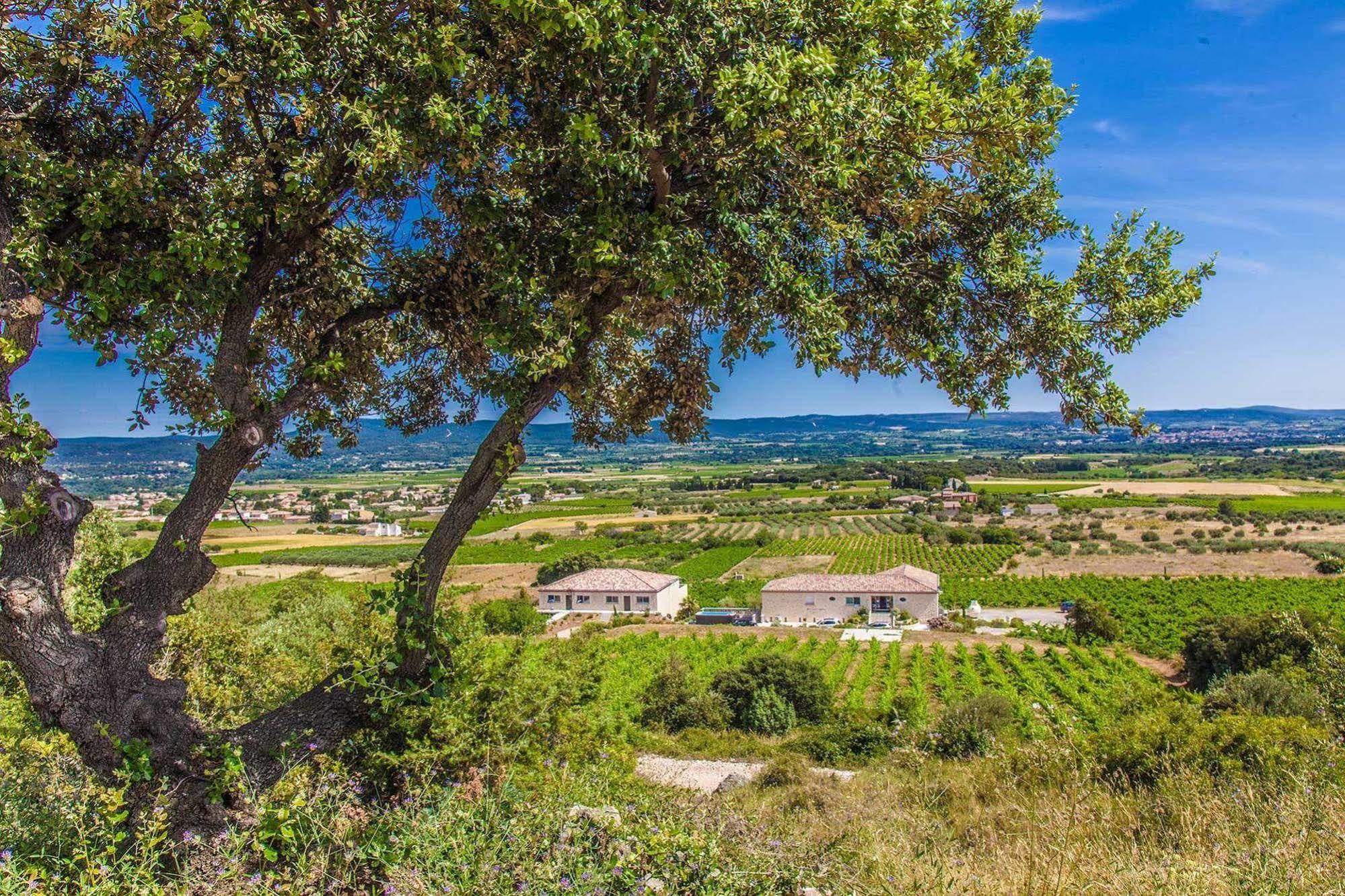 Chateau De Valloubiere Saint-Jean-de-Fos Bagian luar foto