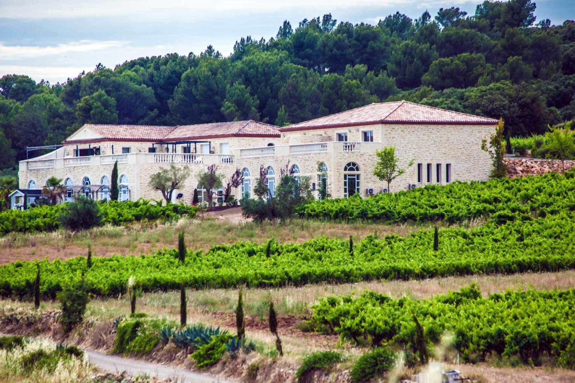 Chateau De Valloubiere Saint-Jean-de-Fos Bagian luar foto